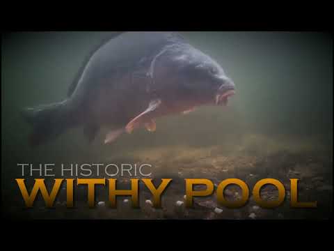 Withy Fishing 'The Big One' 5-6 March 2022