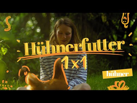 Hühnerfütterung / Hühnerfutter #hühnerhaltung