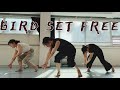 [Beginner Lyrical Jazz] Bird Set Free - Sia Choreography. Soo | 댄스학원 | 재즈댄스 | 리리컬재즈 | 컨템
