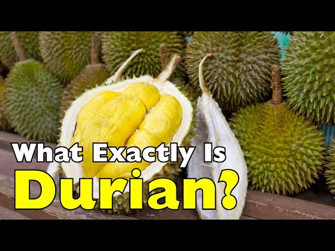 What Exactly Is Durian? The King of Fruits Explained [ID0906]