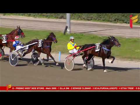 III corsa del 22 febbraio 2023 - 3 Anni - Metri 2000
