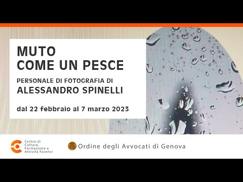 riproduce video in popup