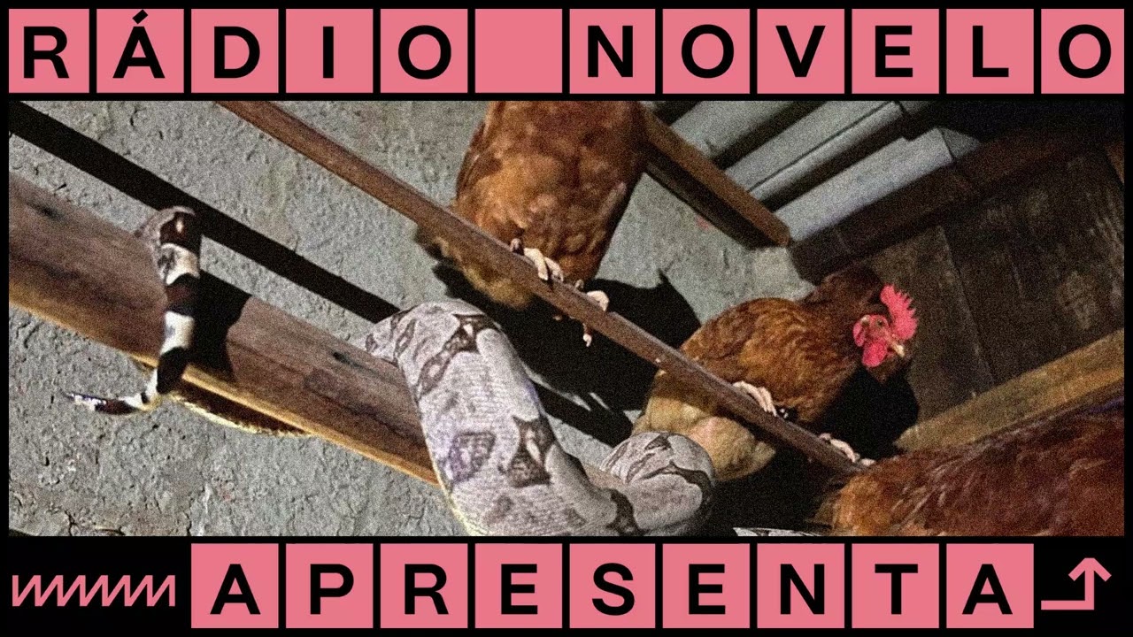 Desafiando as regras | Podcast Rádio Novelo Apresenta
