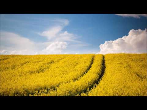 LoT 007 - The Best Of Ferry Tayle (Special Mix 2016)