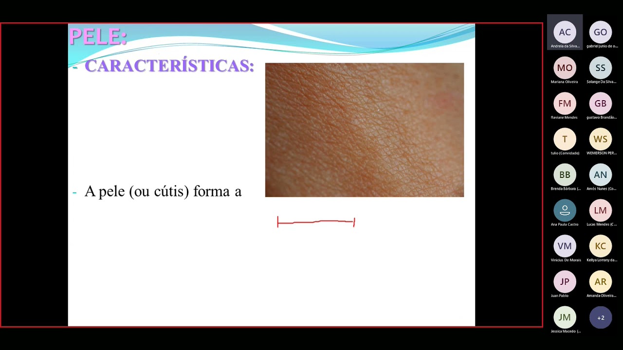 Tecnologia Farmacêutica - Características anatômicas e fisiologia da Pele