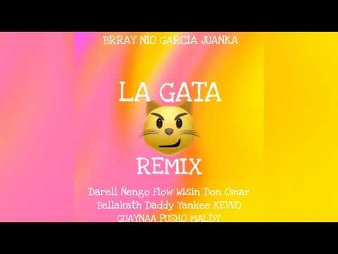 Brray, Juanka, Nio García - La Gata (RMX EDIT) ft. Daddy Yankee, Maldy, Wisin, KEVVO y Mas || SummEP