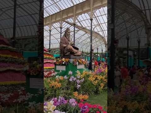 #viral #trending #rose #flowers #karnataka #kannada #love #india #dance #food #bangalore