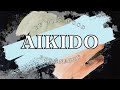 Aikido By Will Wood But Snazzy Lyric Video