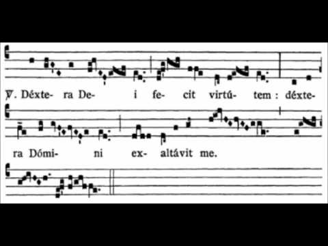 Dextera Dei (5th Sunday of Easter, Alleluia I)