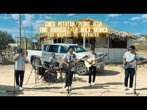 Chico Petatan/Pedro Vega/Tino Rodriguez/La Mula Bronca - Los Morros De Guerrero -  En Vivo 2025