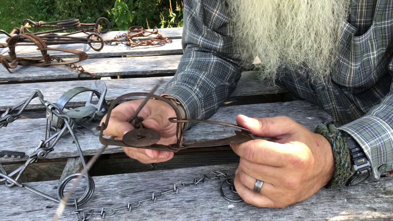 Beginning trapping 3