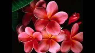 Download lagu Tchaikovsky. - Vals de las flores. 'El cascanueces'. mp3