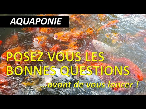 , title : 'Aquaponie - posez vous les bonnes questions avant de vous lancer !'