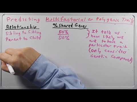 Chapter 7 Multifactorial II