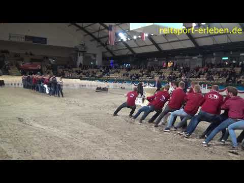 Holsteiner Kör- und  Auktionstage - Auch Spass muss sein