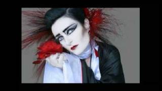 Partys Fall - Siouxsie and the Banshees