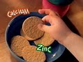 Let S Go To The Zoo 2001 Version FINAL PART