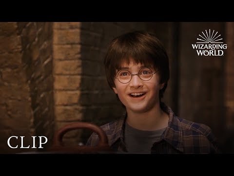 Harry Potter - Question Structure Practice