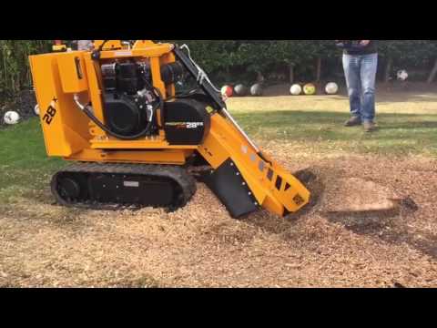 Tree Stump Grinding Around The County Of Essex And Beyond!