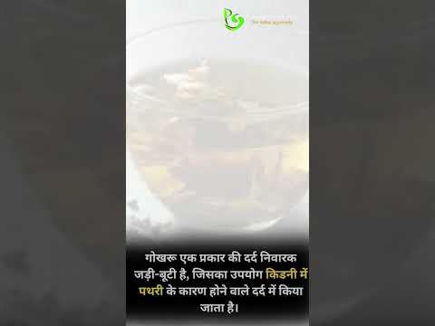 पथरी के आयुर्वेदिक व घरेलू चिकित्सा से उपचार गोखरू #aurveda #kineystone #bhopa