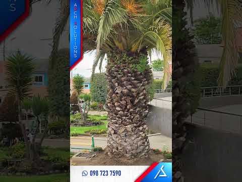 🌱 Venta - Amplios Lotes con Plusvalía en Malchinguí - Inversión - Cantón Pedro Moncayo - Pichincha