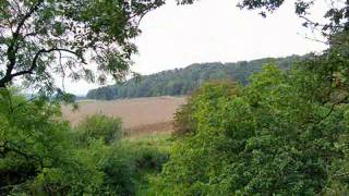Vaughan Williams - On Wenlock Edge (1909), sung by Anthony Rolfe Johnson