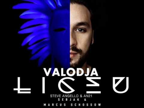 Steve Angello & AN21 VS Sebjak & Marcus Schossow - Valodja Liceu