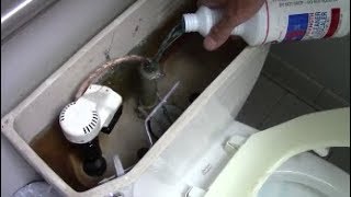 Slow Flushing Toilet? Quick and Inexpensive Cure With Delimer