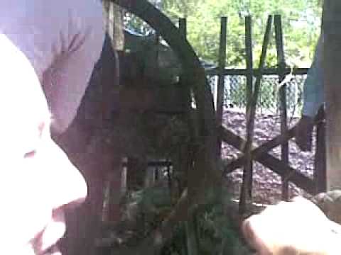 MAQUINA DE PICAR TOXO - FESTA DO SAN CIDRE DE OURAL 2010 (Boqueixon)