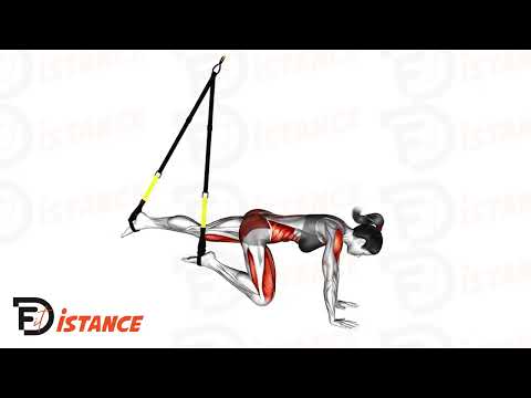 Exercice Mountain Climbers au TRX