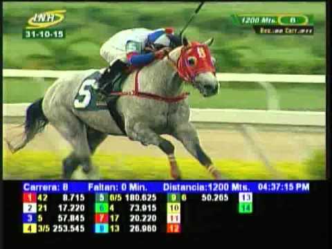 Resumen Sábado, 31 de Octubre de 2015 - La Rinconada