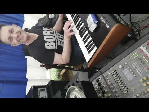 Orkestar Nese Cameta Radojevica i Aca Jeremic🎼🎹#KRALJEVSKI