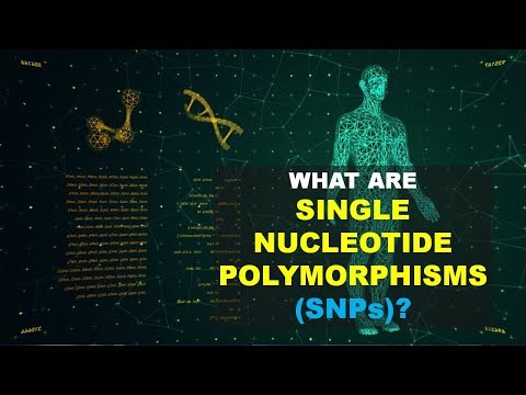 SNPs (Single Nucleotide Polymorphism)0 (Better Explained) Video