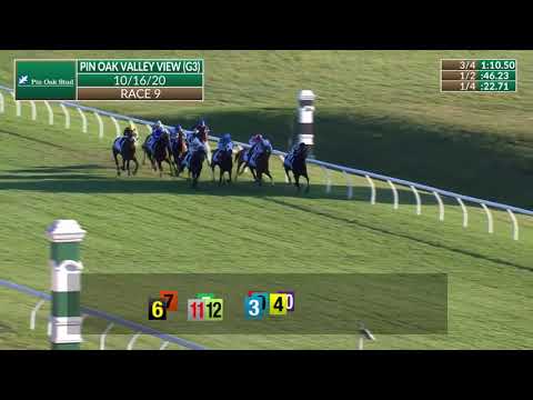 Stunning Sky wins the 2020 Pin Oak Valley View (G3)