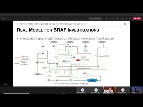 Mechanistic modeling of signaling pathways in cancer and the interpretation of models by Jonas Beal