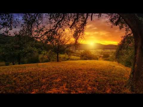 Dorin Cazacu – Eşti ne-ntrecut