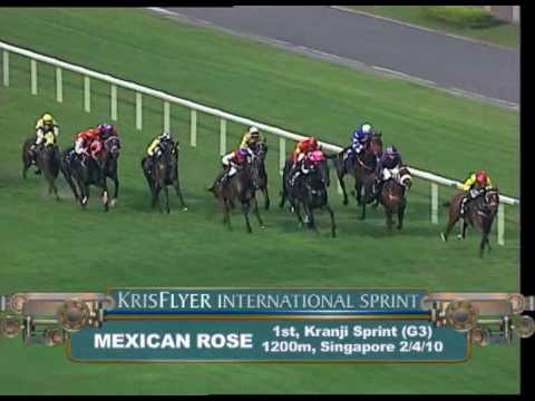 KrisFlyer International Sprint 2010 Contenders (Mexican Rose)