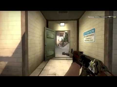 Steam Community :: Video :: CS:GO 4 Kills Zoo [HD]
