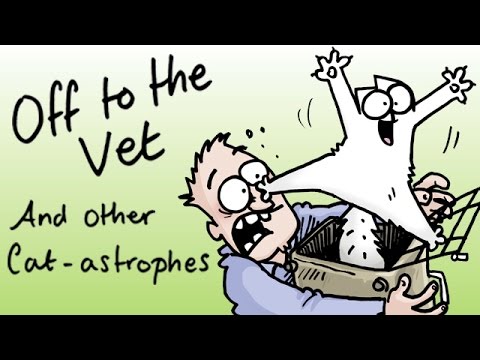 The Making of ‘Off to the Vet – and Other Cat-astrophes’ Book OUT NOW