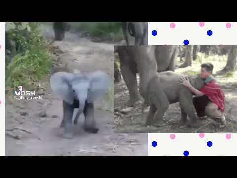 🤭🤭 animal movement#animal vs man cute#😘😘😘😘