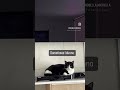 MICHI S Sorry To Disturb You NOT ‍