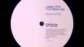 {Vinyl} Jurgen Vries - Wilderness (Instrumental Mix)