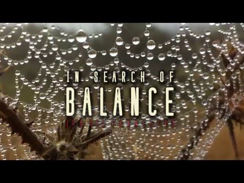 Thumbnail of the video: In Search of Balance - Official Trailer