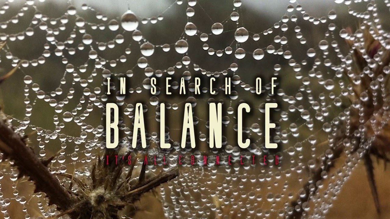 In Search of Balance - Official Trailer