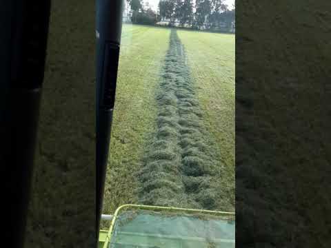 gras hakselen door loonbedrijf van donkersgoed bv