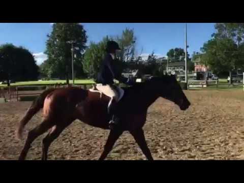 Marissa Jacquemin and Unanimous in low Hunter on June 25, 2017.