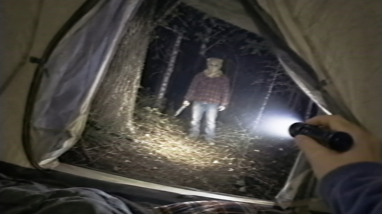 27 Forest Encounters Caught on Camera