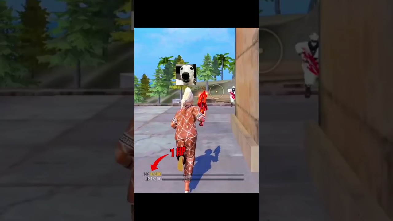 #freefire #itzkibbo #funny #newnatok #news #newnatok #freefirejokes #gaming #ff #garenafreefire