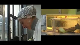 "Transformation" : film d'immersion dans le secteur de l'agroalimentaire en Nouvelle-Aquitaine