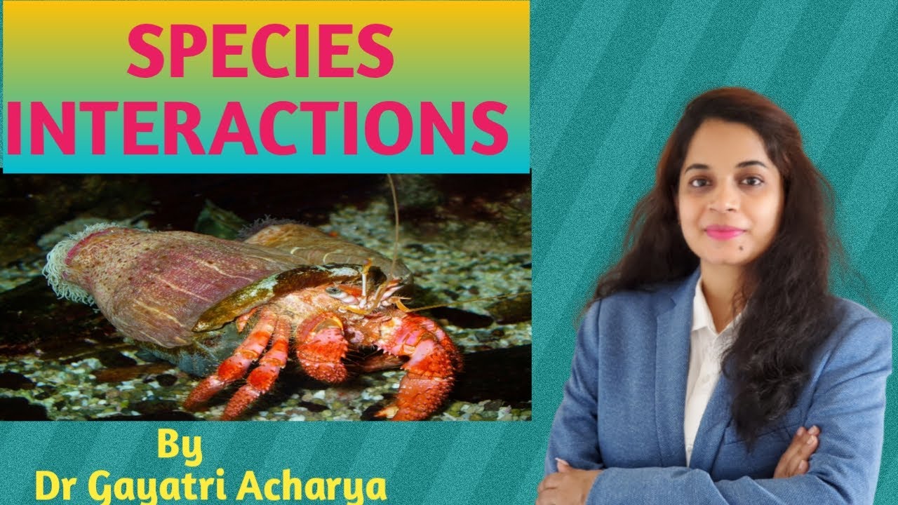 SPECIES INTERACTIONS/ By Dr Gayatri Acharya